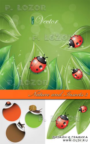 Nature and Insects 3