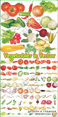 Векторный набор Овощи в векторе