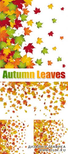 Autumn Leaves Vector