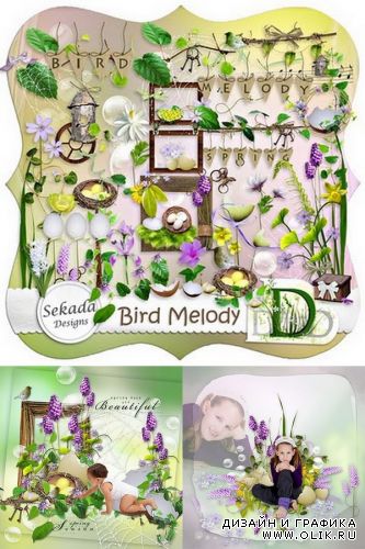 Scrap kit   Bird Melody