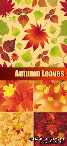 Autumn Leaves Patterns Vector