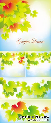 Grapes Leaves Vector