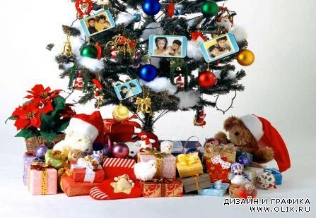 PAE-Photo Tree PAE-Photo Tree