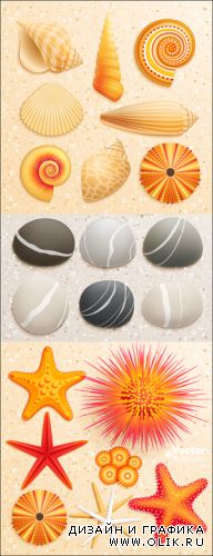 Sea Shells, Stars & Stones Vector