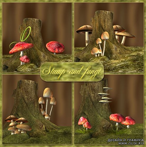 Stump and fungi / Пень и грибы