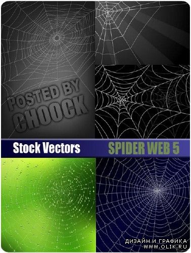 Паутина 5 | Spider web 5