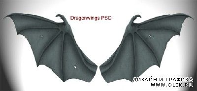 Dragon Wings PSD