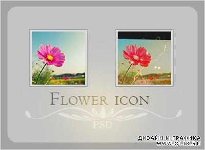Flower icon Psd