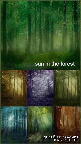 Сказочные фоны - солнце в лесу