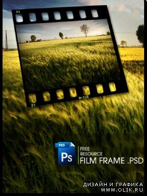 Free Film Frame