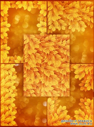 Golden leaves autumn backgrounds