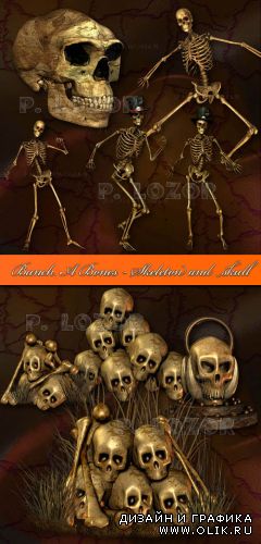 Bunch A Bones - Skeleton and skull