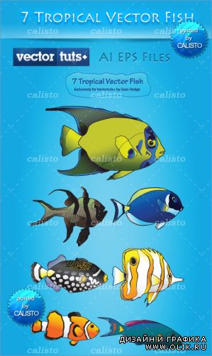 Colorful Vector Premium Pack – Tropical Fish