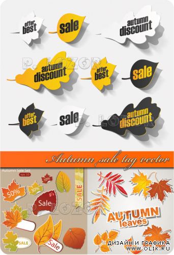 Autumn sale tag vector