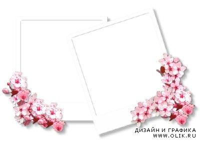 Sakura frame psd