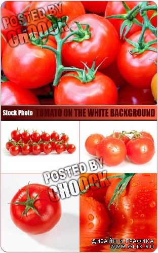 Помидоры на белом фоне | Tomato on the white background