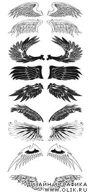 Exclusive Wings Brushes Pack 1