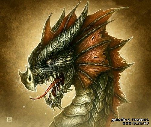 Красочные драконы иллюстратора Kerem Beyit