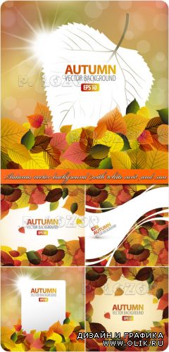 Осенние фоны с листьями | Autumn vector background with white card and sun
