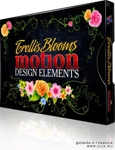 Trellis Blooms Motion Design Elements