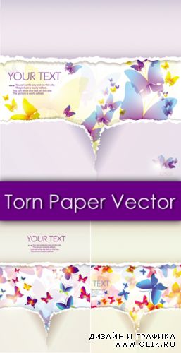 Torn Paper with Butterflies Vector