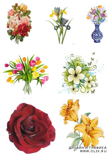 Flowers Clipart for PHSP / Клипарт для фотошопа Цветы 