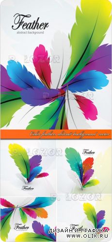 Векторные фоны цветные перья | Color feathers abstract background  vector