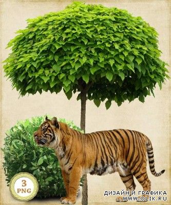 Тигр у дерева