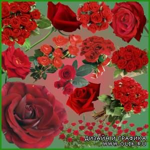 Flower scrap - a set of "Red Roses"