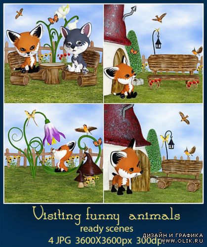 Kit Visiting funny  animals