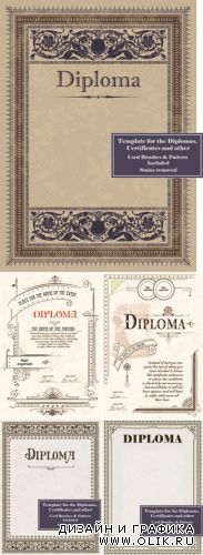 Diploma Vector