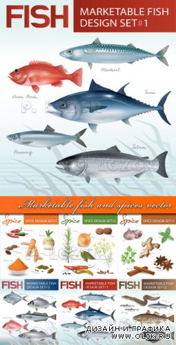 Этикетки рыба и специи | Marketable fish and spices vector