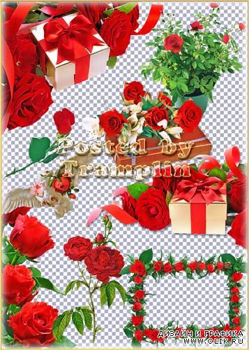 Клипарт – Красные розы в подарках с бантами на прозрачном фоне
