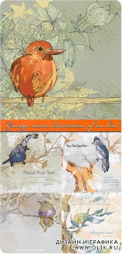 Иллюстрации птицы | Grunge vector illustration of an bird