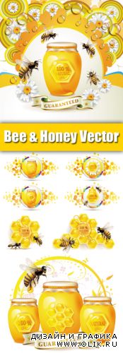 Honey & Bee Vector 2 | Мед, пчелы и соты в векторе