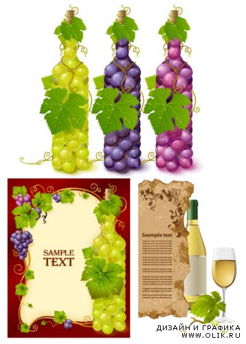 Виноградные бутылки и этикетки (Вектор)