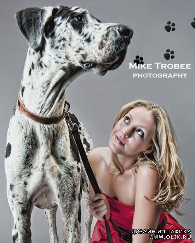 Mike Trobee - Memphis