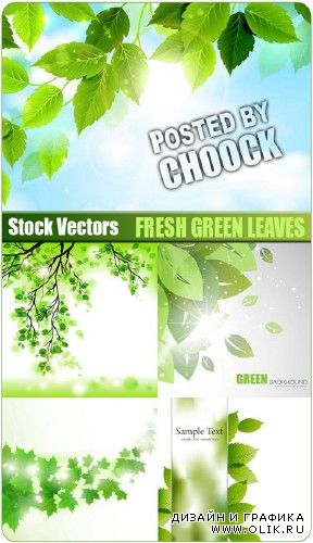 Свежие зеленые листья - векторный клипарт