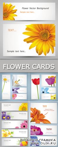 Flowers Cards & Banners Vector