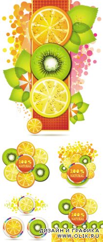 Juice & Fruits Vector