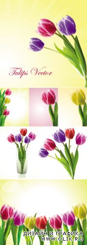 Color Tulips Vector