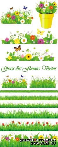 Green Grass with Flowers Vector