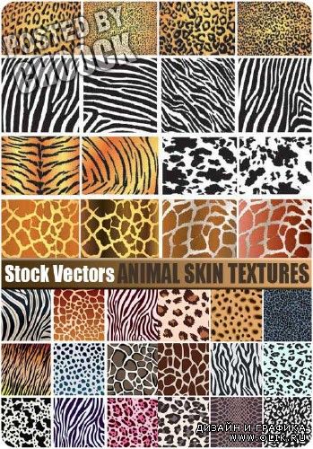 Текстуры шкуры животных - векторный клипарт