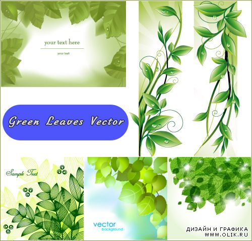 Свежие весенние зеленые листья с водяными каплями (Вектор)