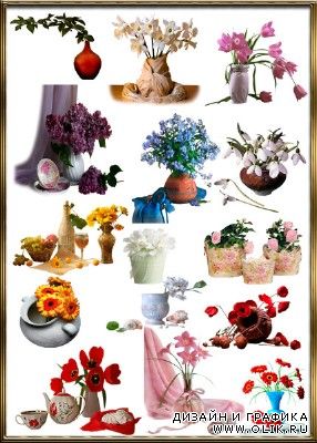 Клипарт, красивые элементы цветов в вазах PNG