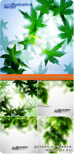 Красивые зелёные листья | Beautiful green leaves, eco vector background