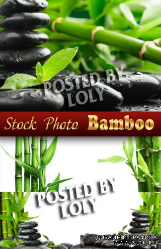Бамбук - Растровый клипарт
