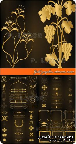 Золотые элементы дизайна графика | Gold graphics elements vector