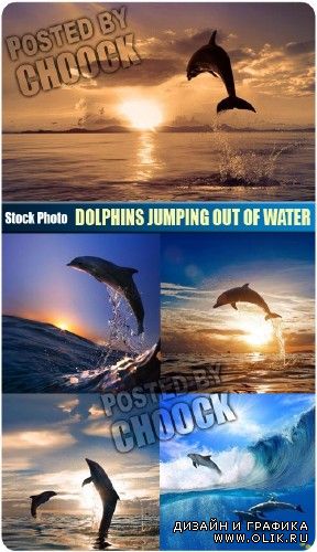 Выпрыгивающие из воды дельфины - растровый клипарт