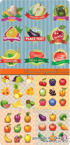 Фрукты и овощи | Fruits and vegetables vector